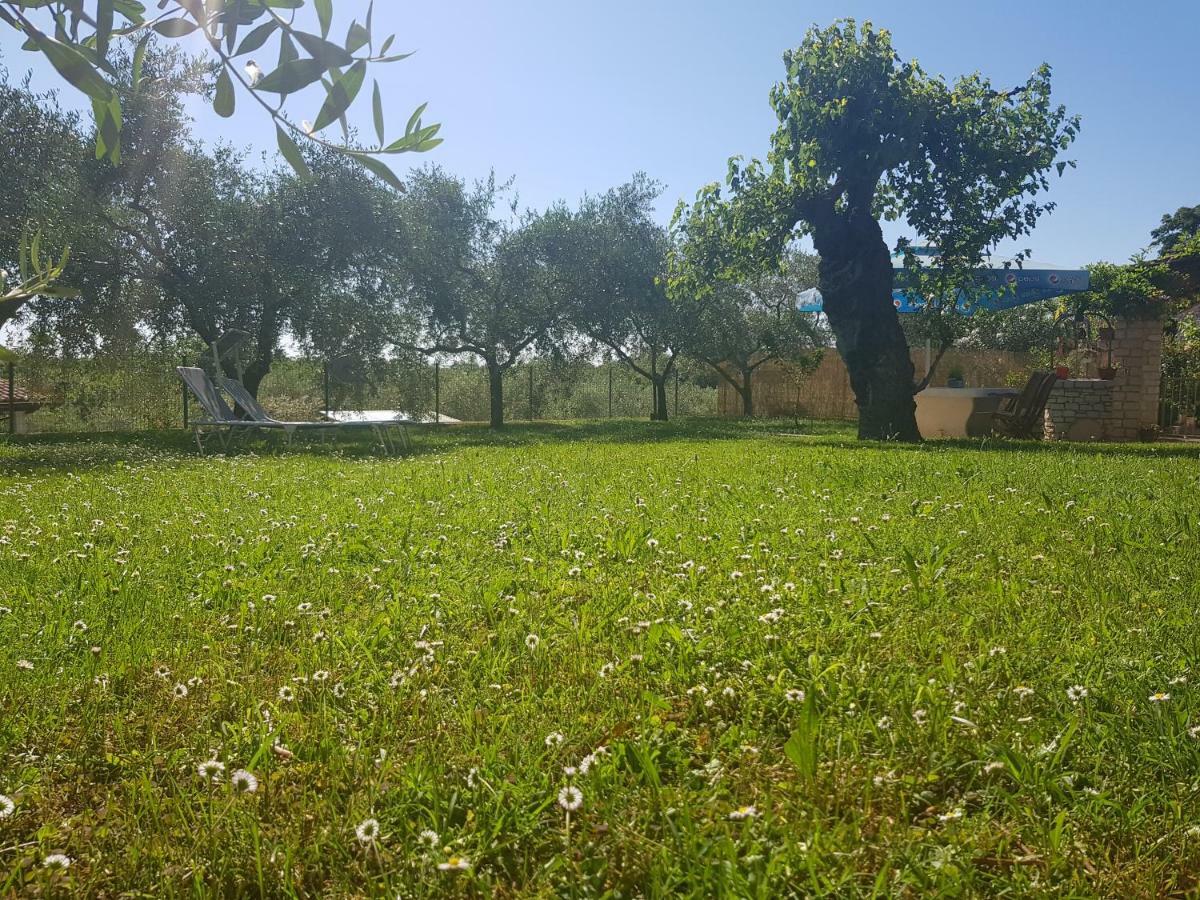 Casa Istria Villa Buje Exterior foto